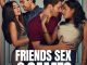 Friends Sex and Games Season 1 poster